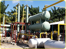 pyrolysis plant in Malaysia